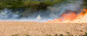 Firefighter tackling wildfire